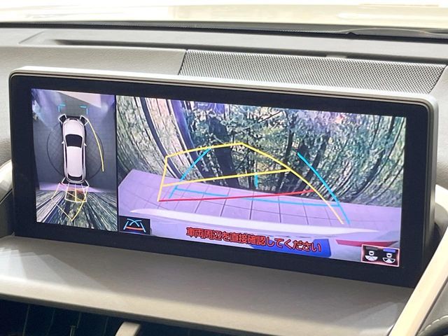 LEXUS NX300