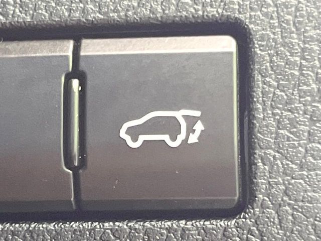 LEXUS NX300