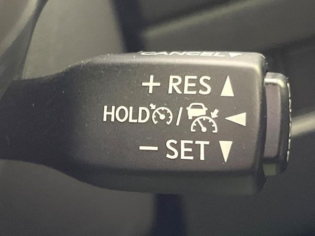 LEXUS NX300