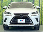 LEXUS NX300