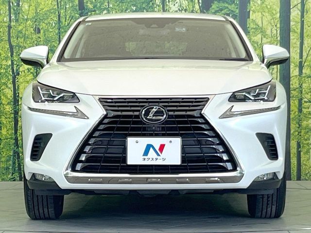 LEXUS NX300