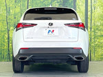 LEXUS NX300