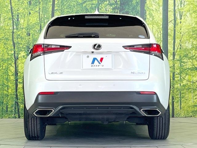 LEXUS NX300