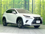 LEXUS NX300