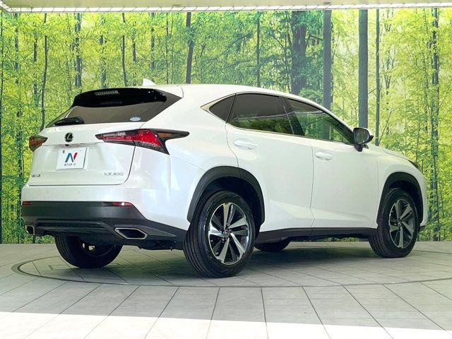 LEXUS NX300