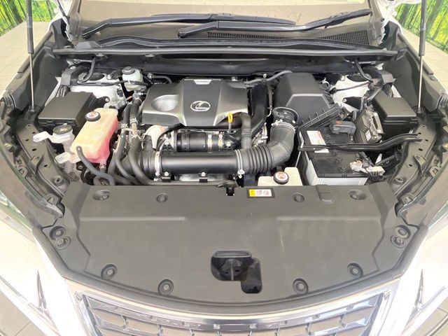 LEXUS NX300