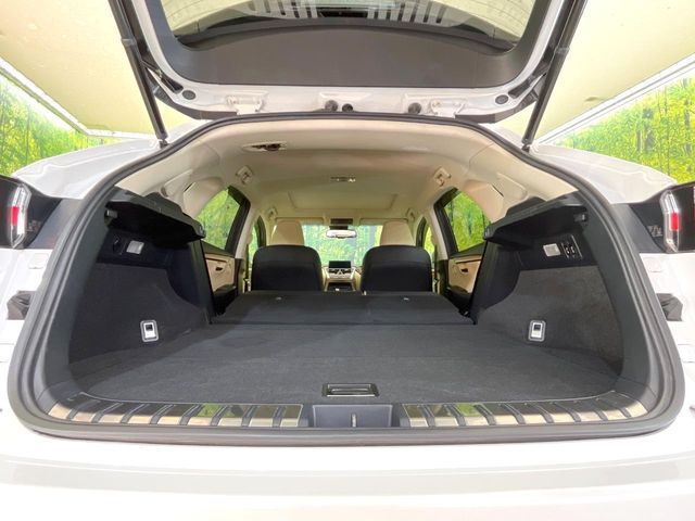 LEXUS NX200t