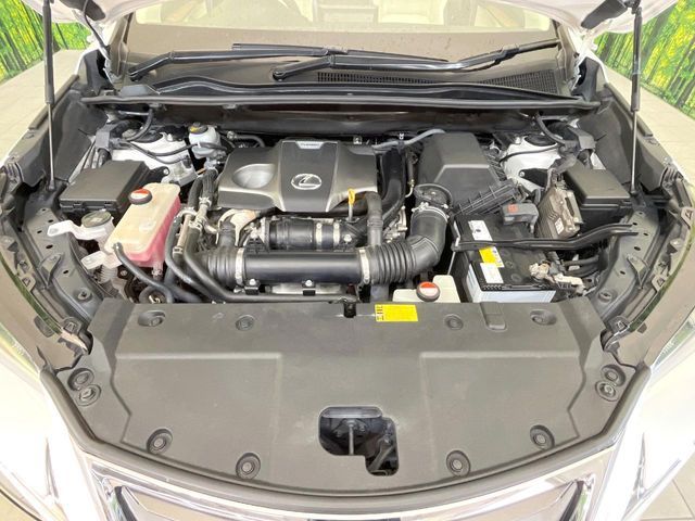LEXUS NX200t