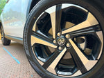 RAIZE HYBRID