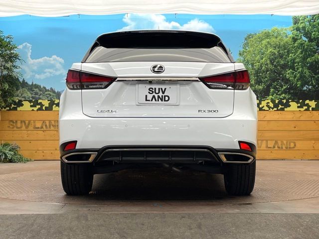 LEXUS RX300