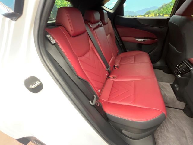 LEXUS NX350h