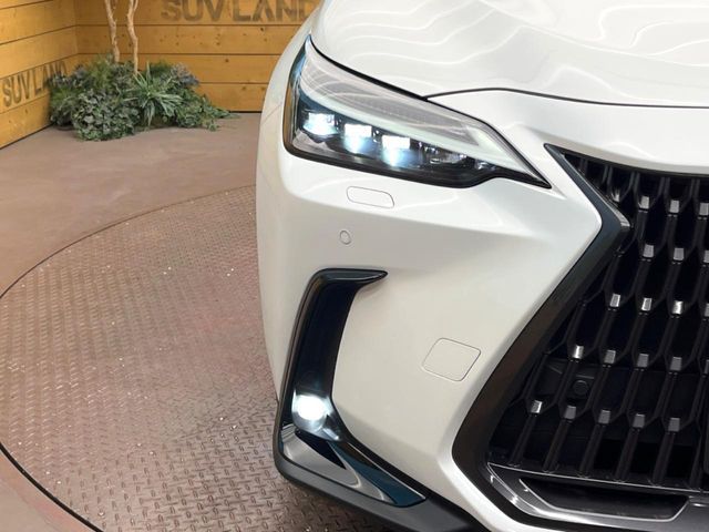 LEXUS NX350h