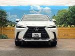 LEXUS NX350h