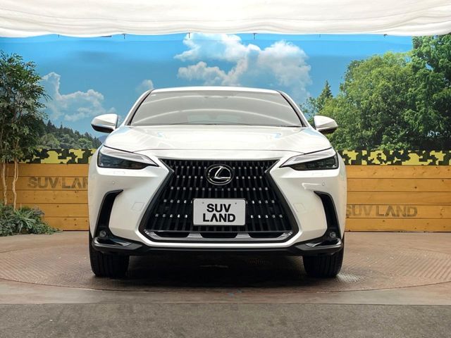 LEXUS NX350h
