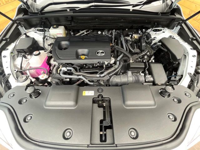 LEXUS NX350h