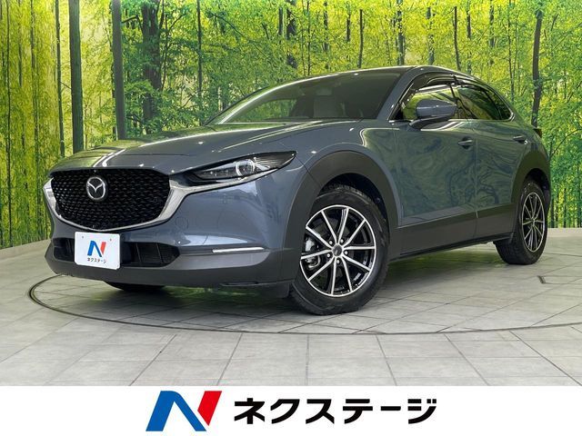 CX-30