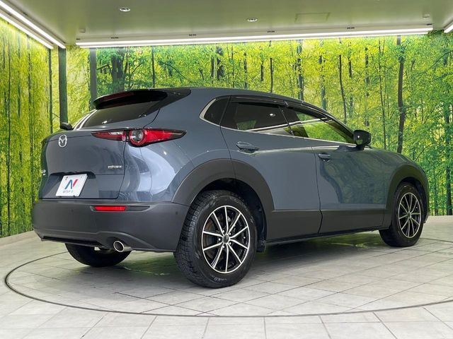 CX-30