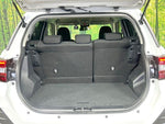 RAIZE HYBRID