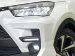 RAIZE HYBRID