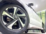 RAIZE HYBRID