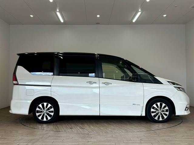 SERENA  S-HYBRID