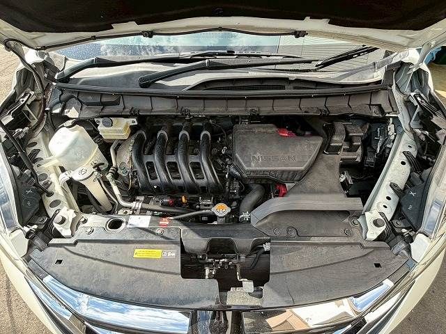 SERENA  S-HYBRID