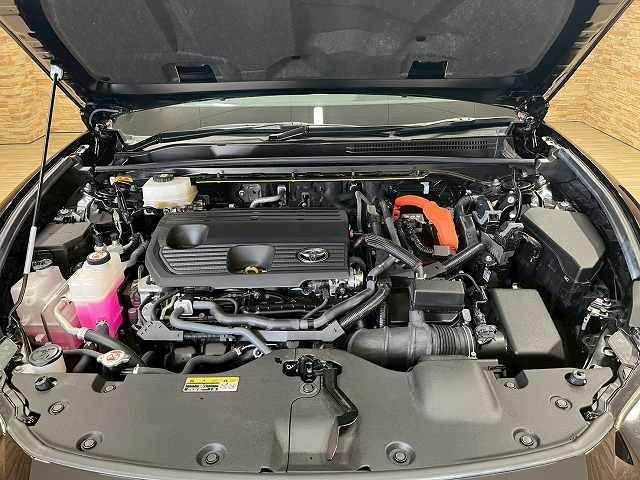CROWN SPORT