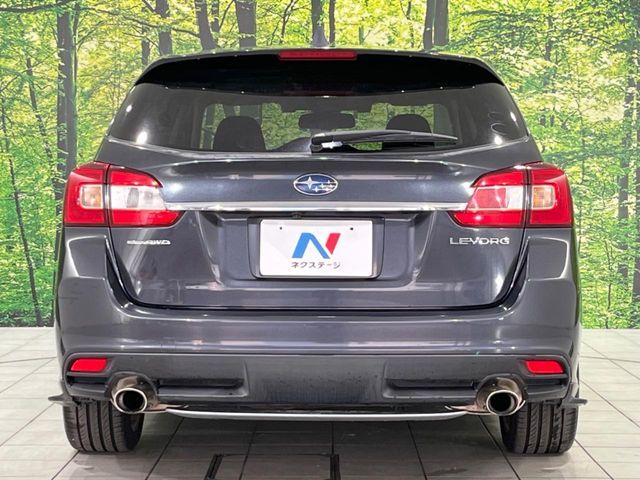 LEVORG