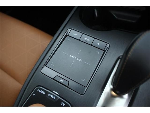 LEXUS UX300e