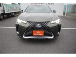 LEXUS UX300e