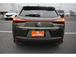 LEXUS UX300e