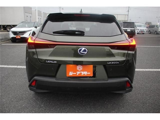LEXUS UX300e