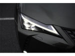 LEXUS UX300e