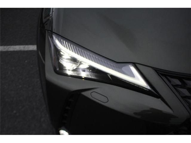 LEXUS UX300e
