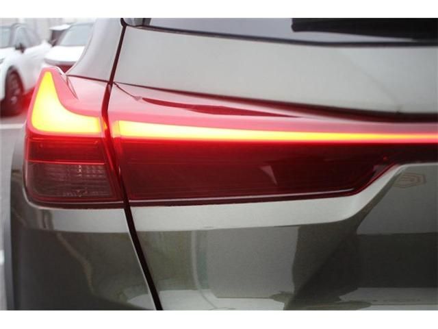 LEXUS UX300e