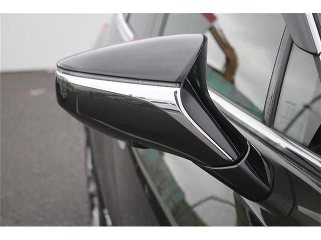 LEXUS UX300e