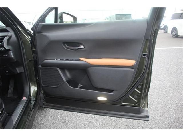 LEXUS UX300e