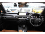 LEXUS UX300e