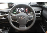 LEXUS UX300e