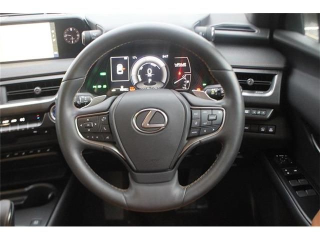 LEXUS UX300e