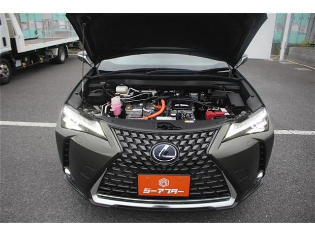 LEXUS UX300e
