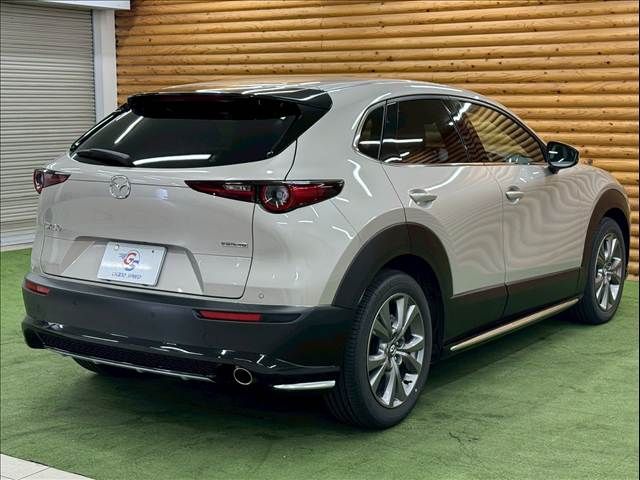 CX-30
