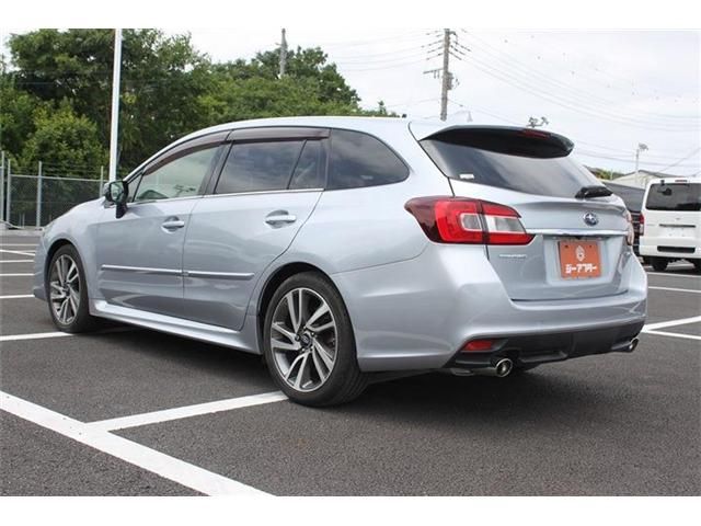 LEVORG