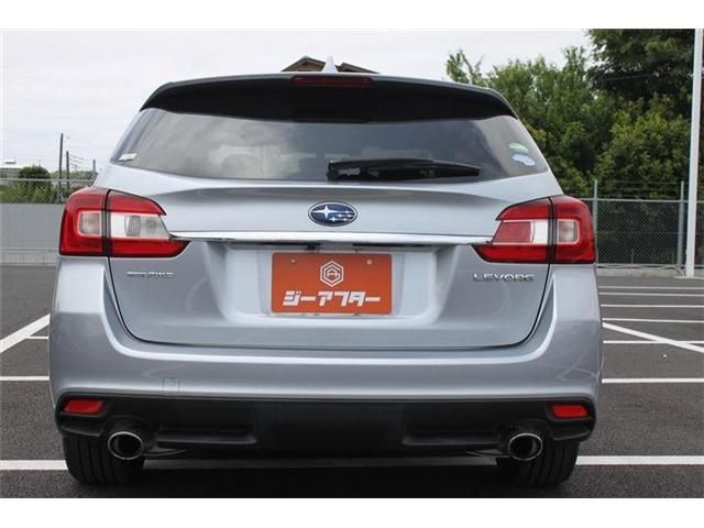 LEVORG