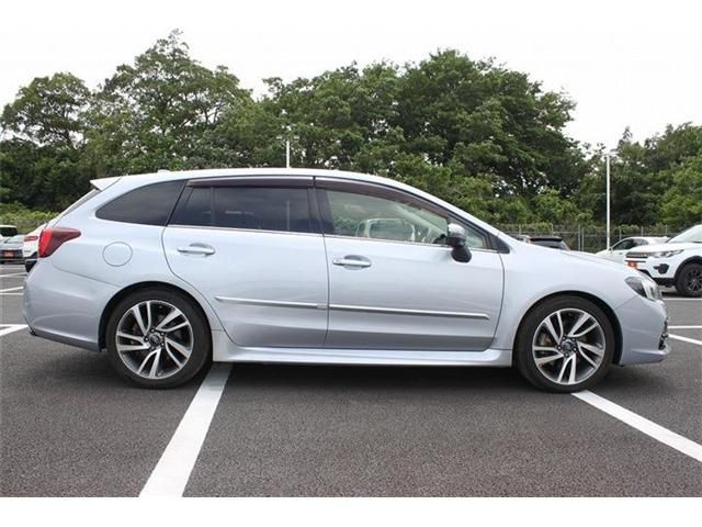 LEVORG