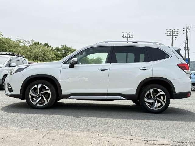 FORESTER