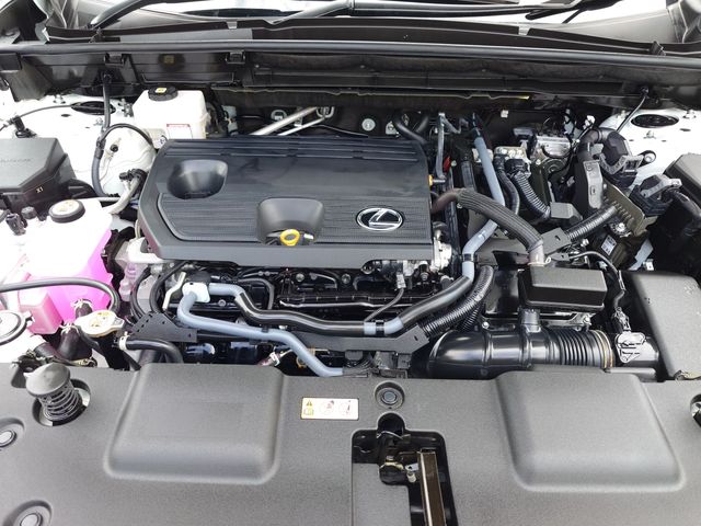LEXUS NX350h