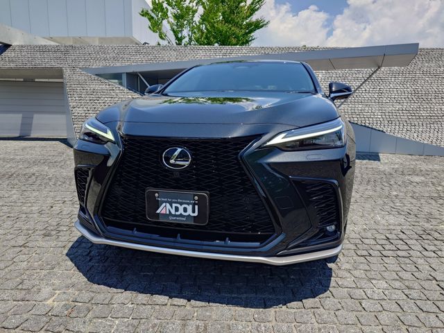 LEXUS NX350h