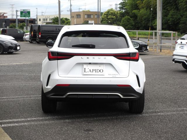 LEXUS NX450h+ AWD