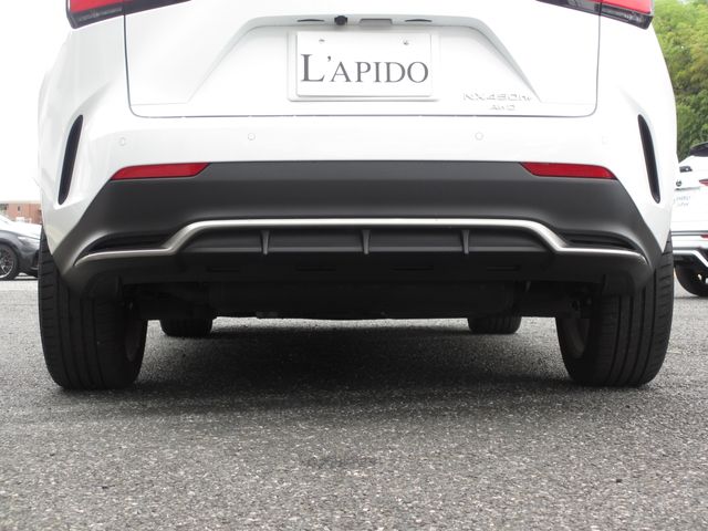 LEXUS NX450h+ AWD